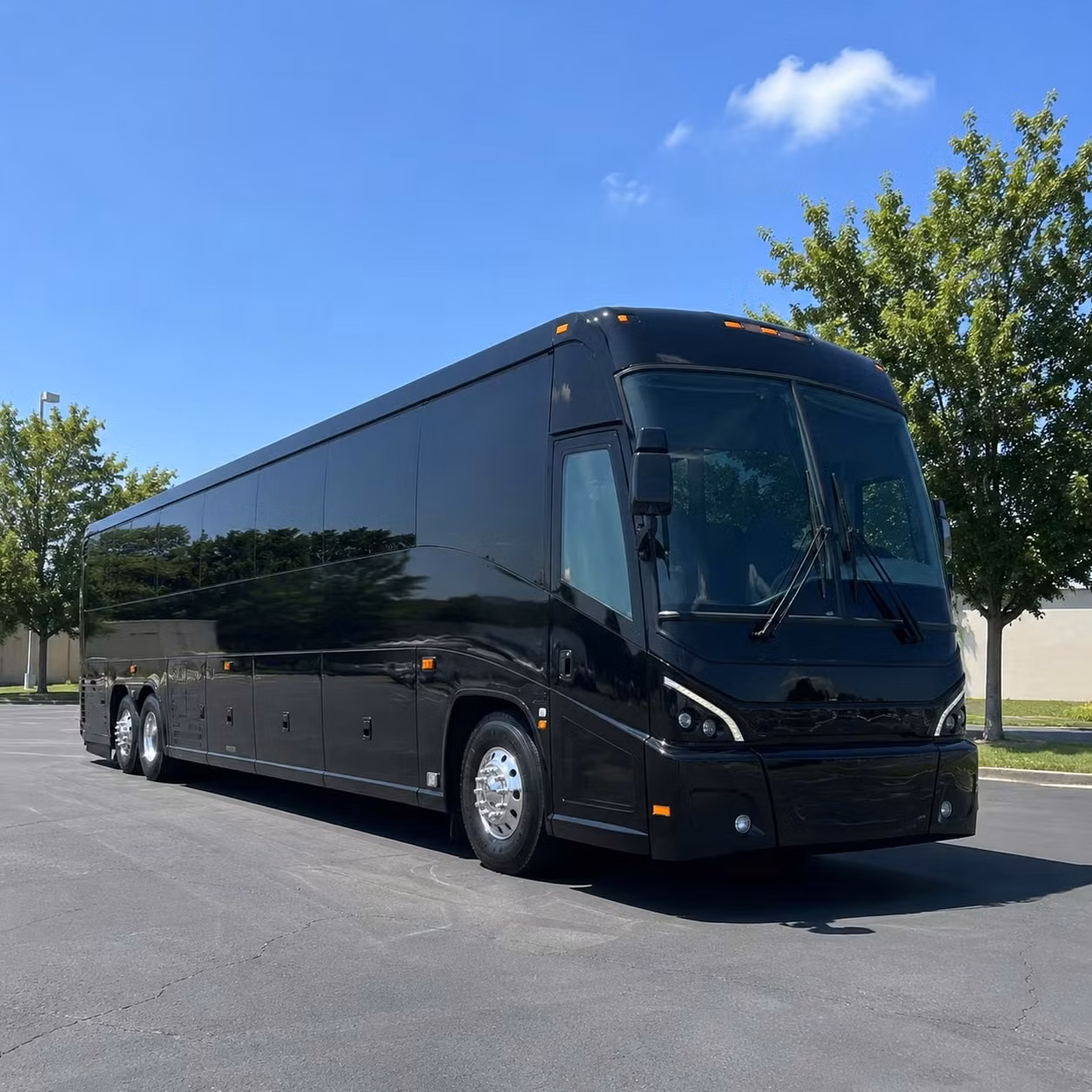 charter bus rentals for large wedding guest counts in los angeles