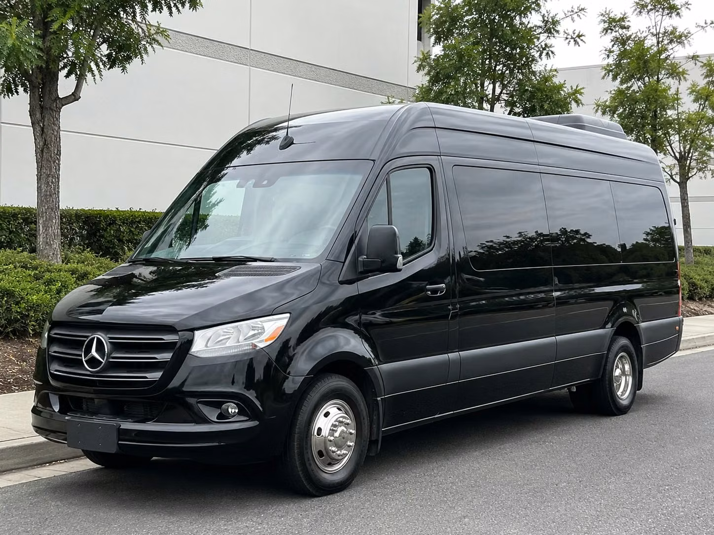 sprinter vans and minibuses for intimate los angeles wedding transportation